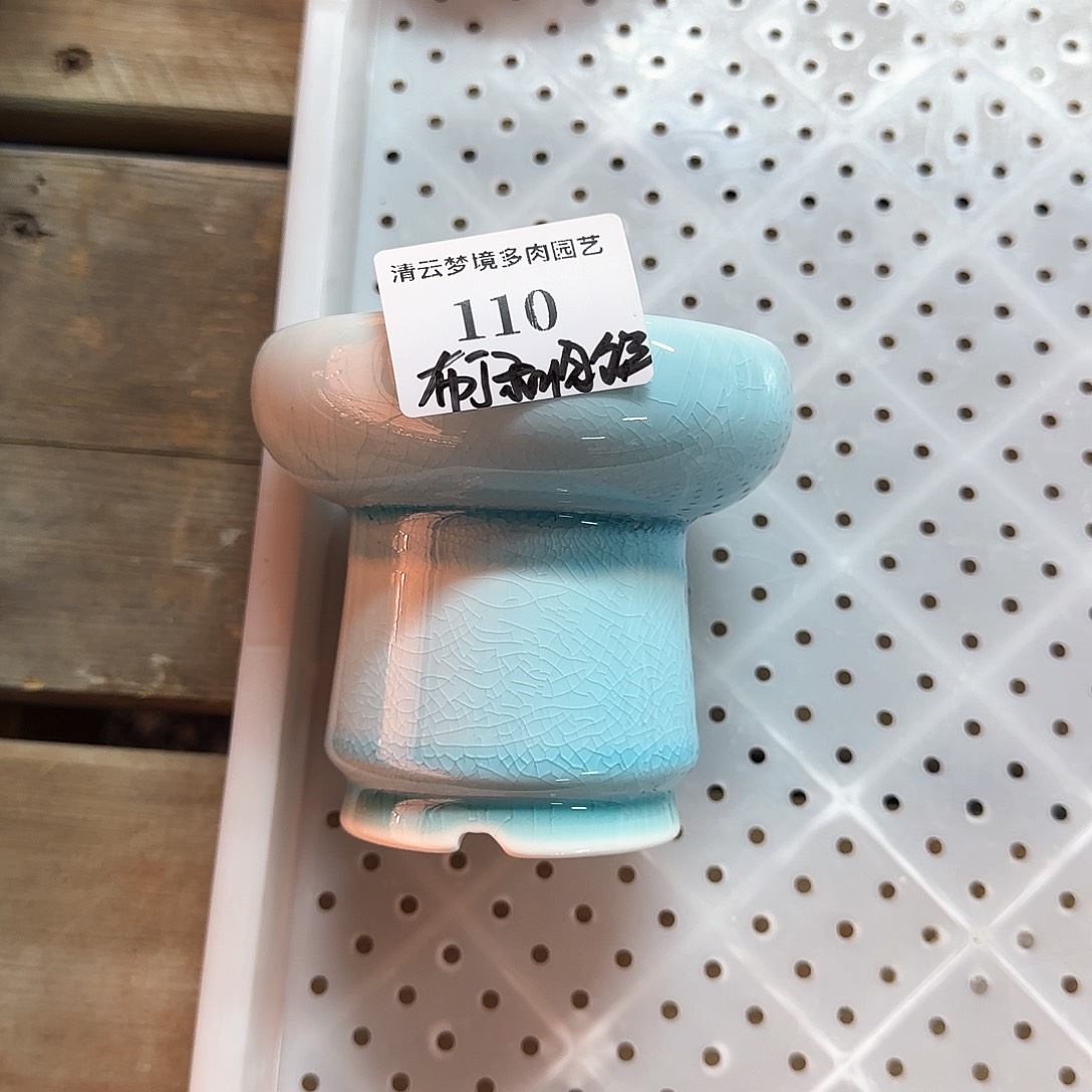 【闪购商品】红陶布***饼肉饼 110