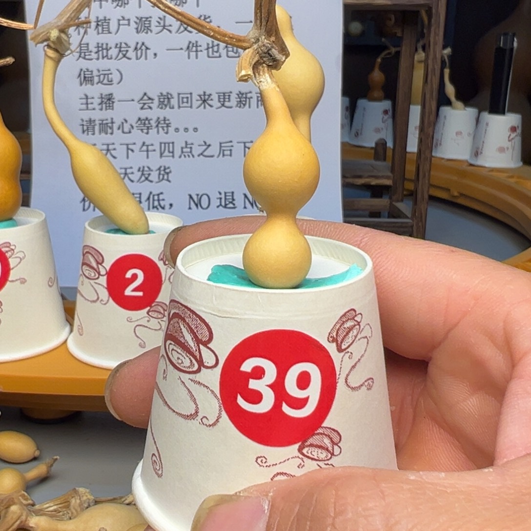 闪电购自助下单编号39