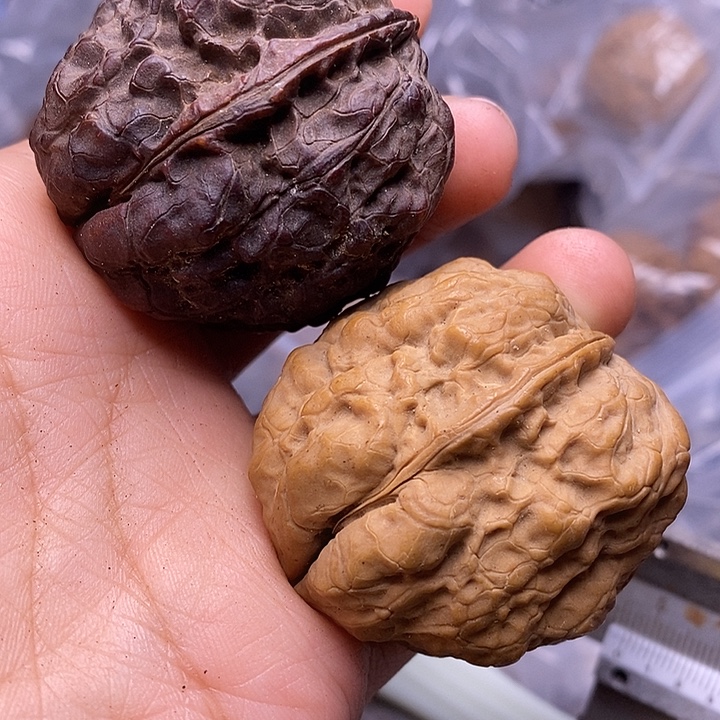 文玩核桃把件   229