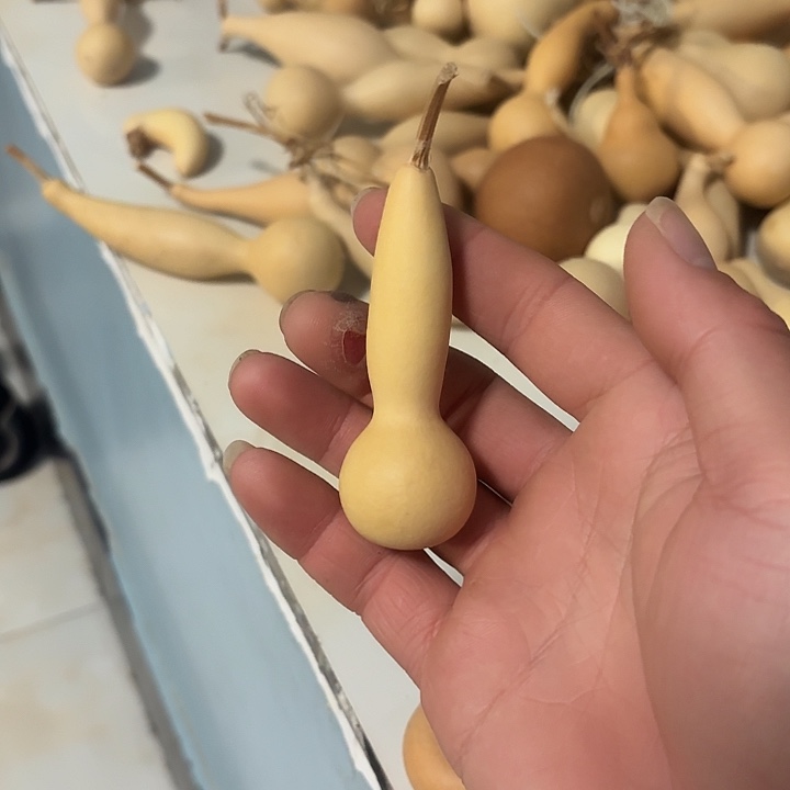 当***当有机玻璃天然小本长葫芦手把件