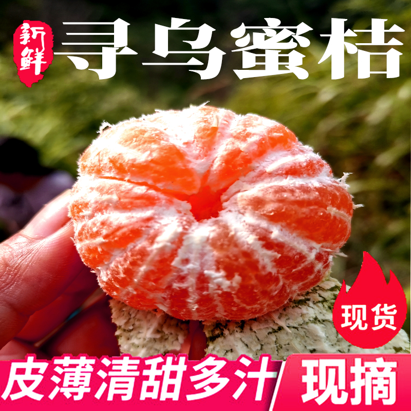 【顺丰上门】江西赣南寻乌蜜桔青皮蜜桔现摘无籽新鲜应季水果
