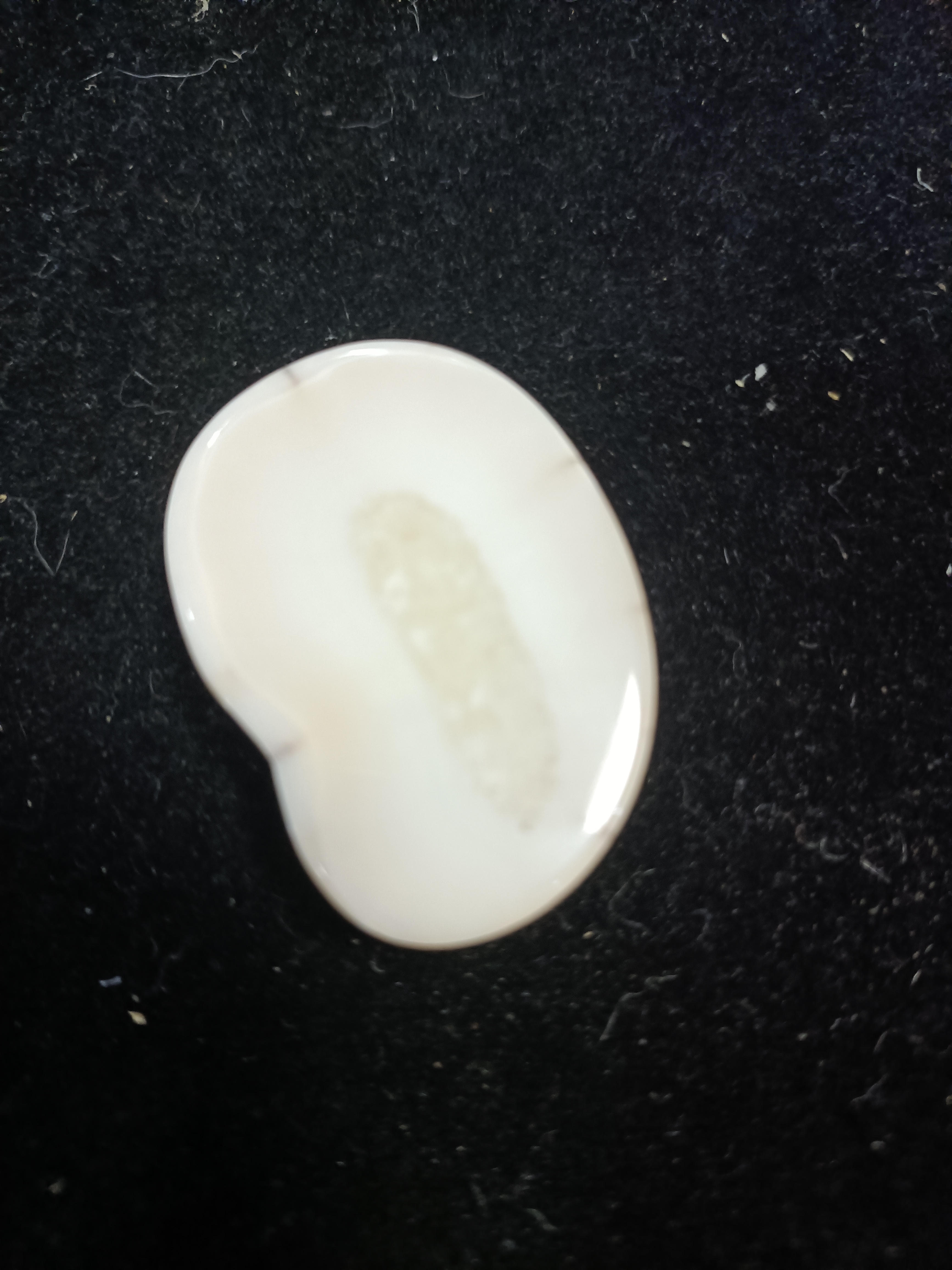 猛犸猛犸虬饼子WW479