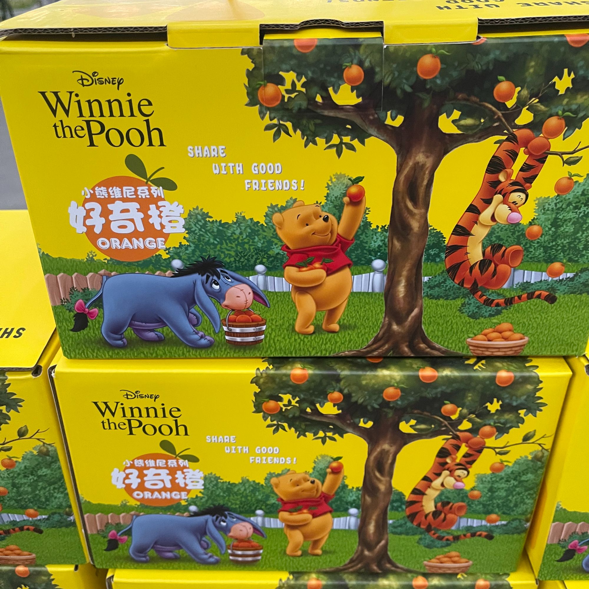 迪斯尼好奇橙礼盒，毛重6斤