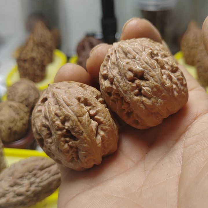 文玩核桃把件多筋肉丸子