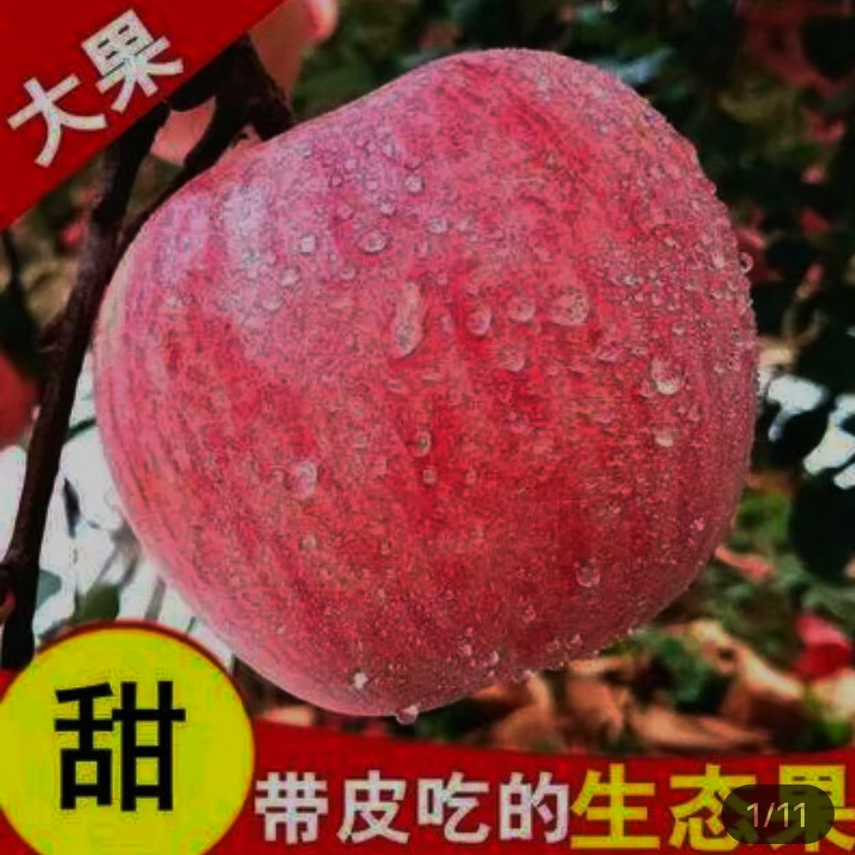 山西运城正宗红富士苹果脆甜多汁产地直发新鲜水果