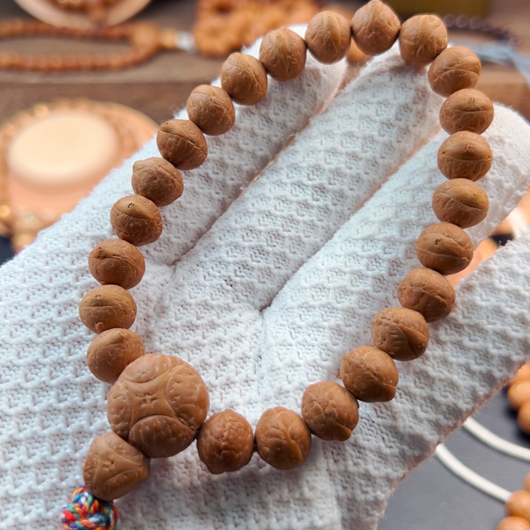 手串凤眼菩提10.5mm矮桩