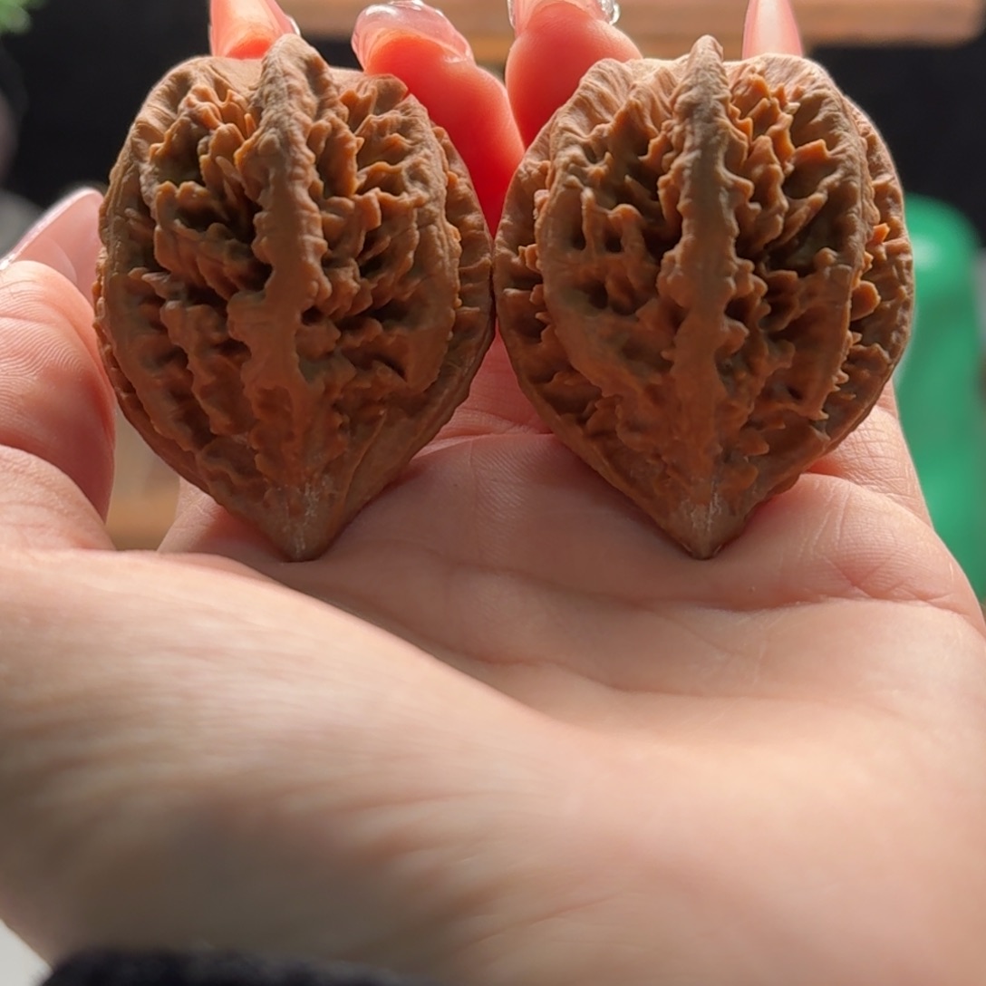 文玩核桃把件关东木子楸百核13