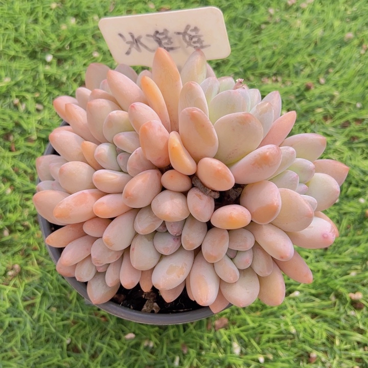 健健康康平平安安