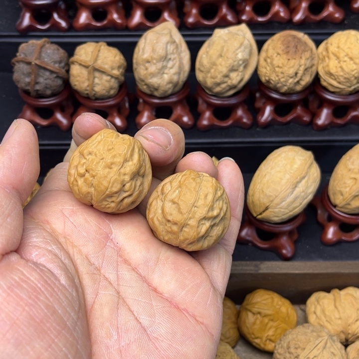 核桃铁核桃迪庆蛤蟆头11