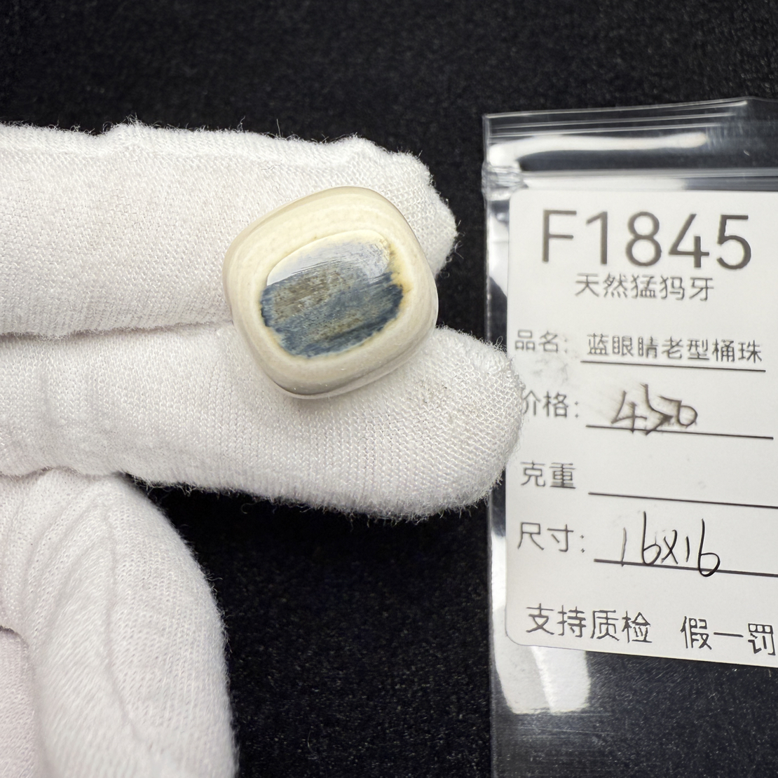 F1845天然猛犸象牙蓝皮老型桶珠墩子顶珠配珠配饰16*16mm