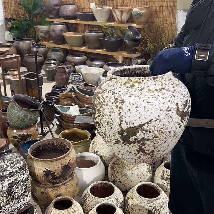 高23/17花盆改革和环境