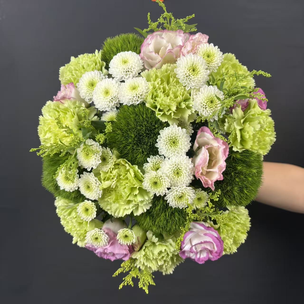 【森之精灵】绿毛球5枝+小菊5枝+绿康5枝+送配草