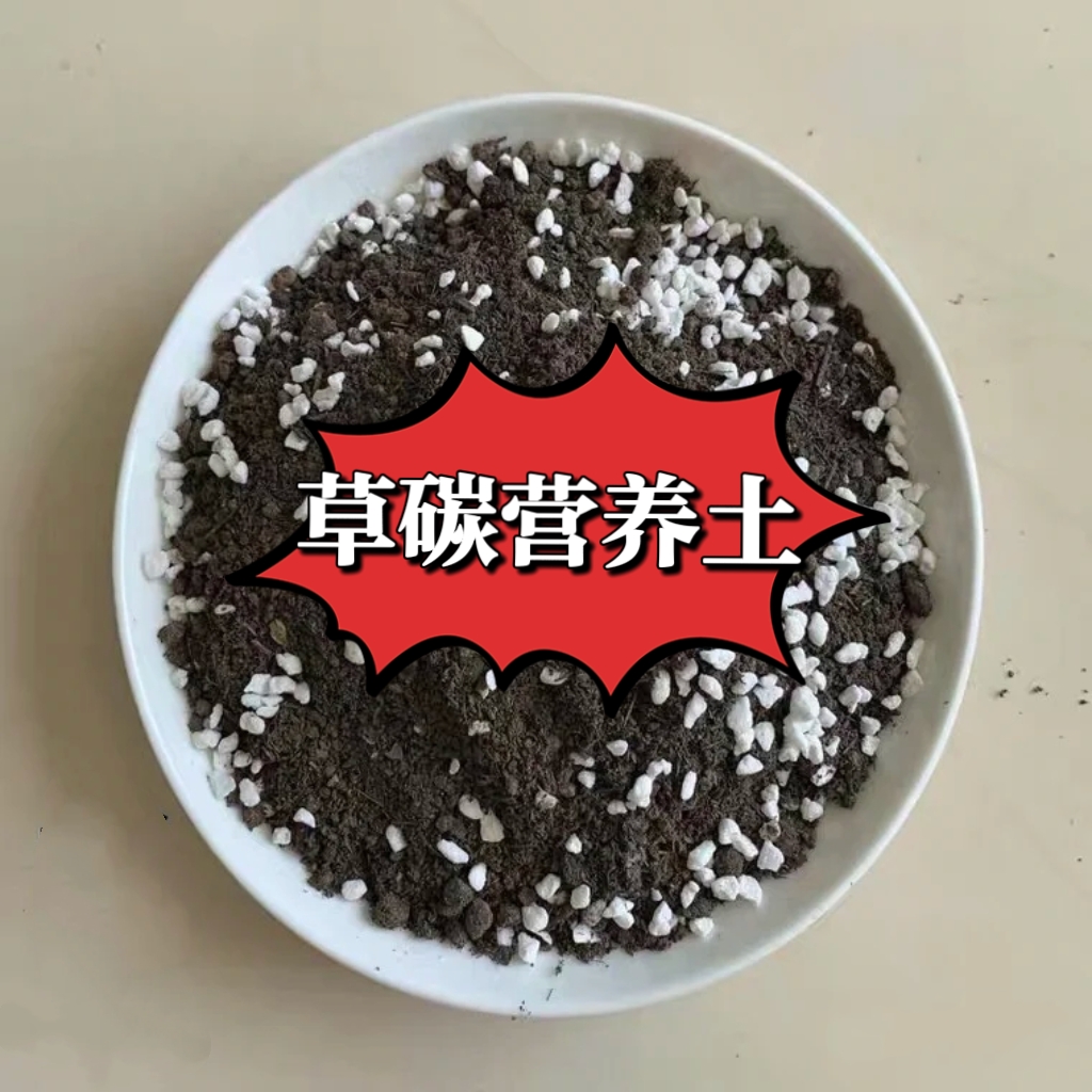 【随手购花球】注意需要买完正价商品后，第二单福利，营养土