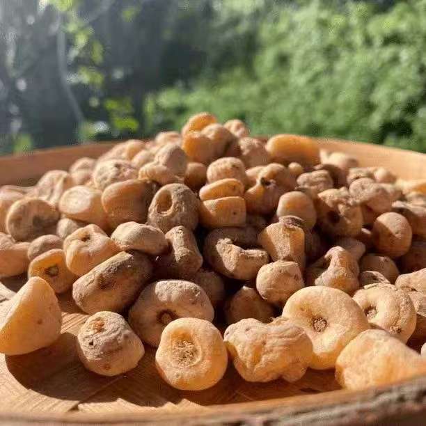 【娜金山货】玉皇丹（高山好物）