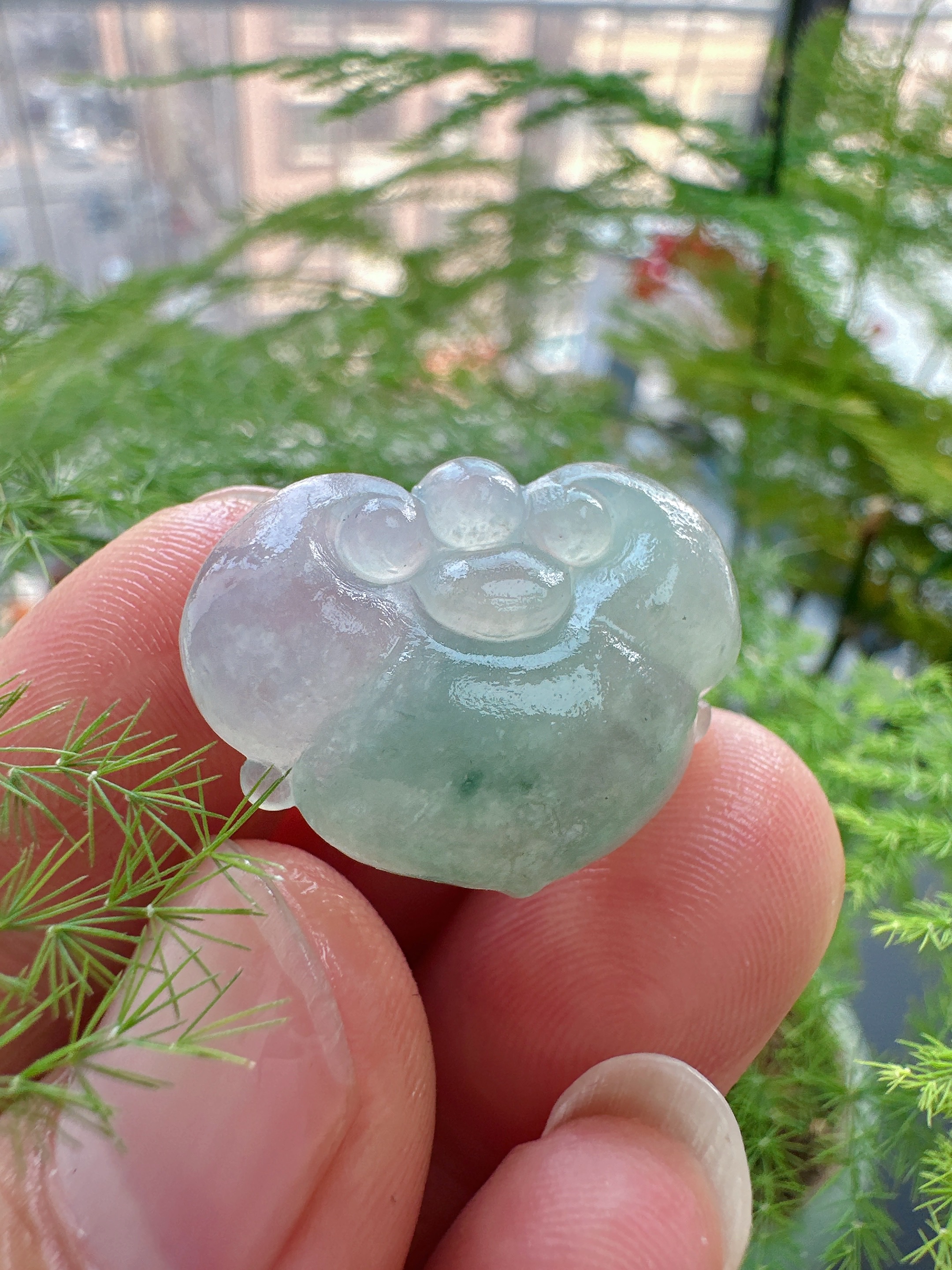 天然A货缅甸翡翠冰种如意毛货未抛光