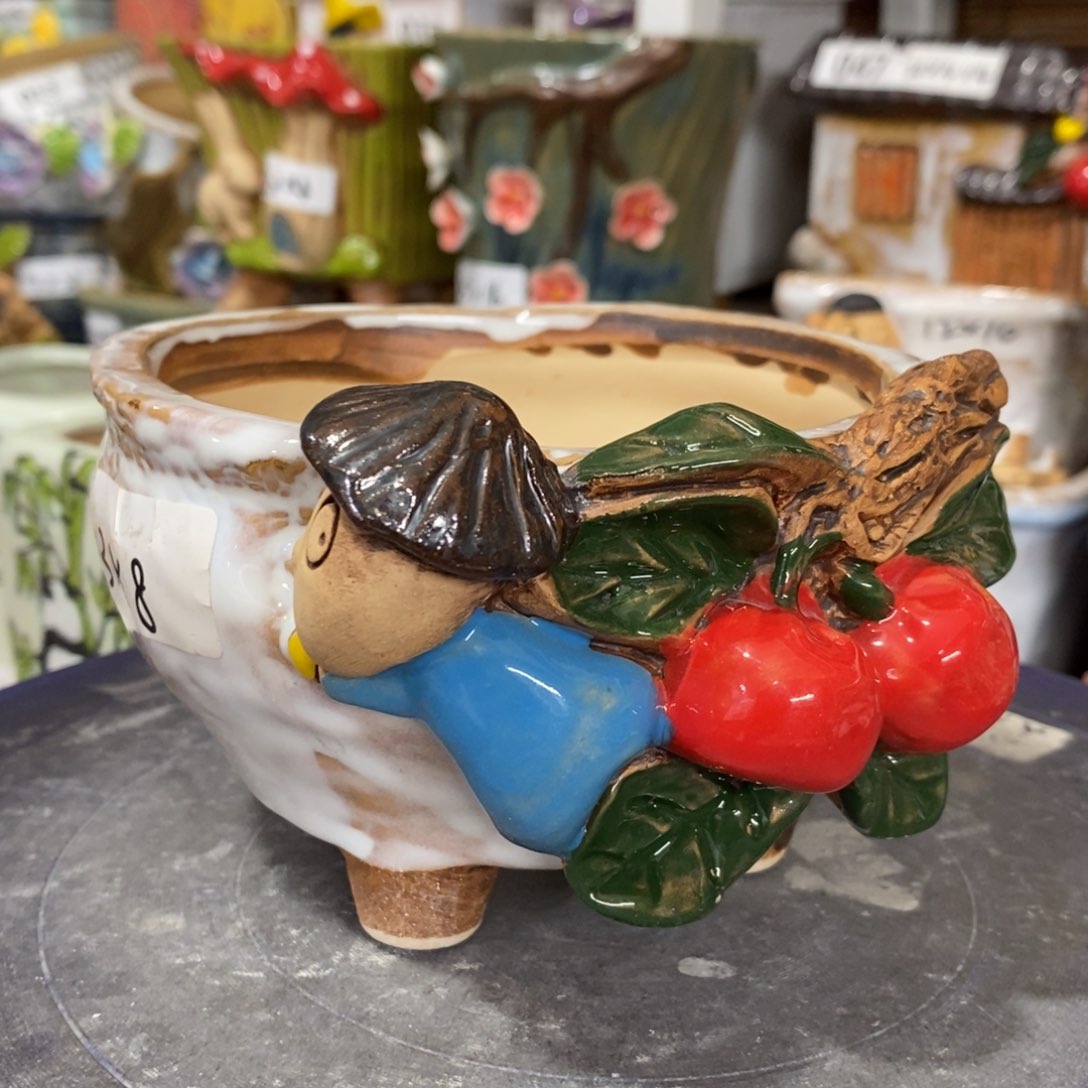 【闪购商品】         