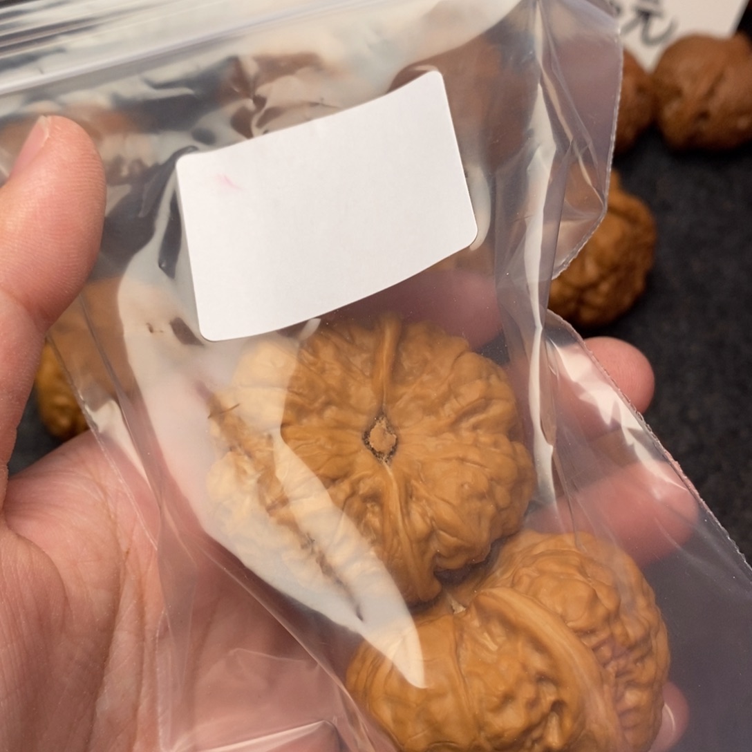 文玩核桃把件阿***行蛤蟆41