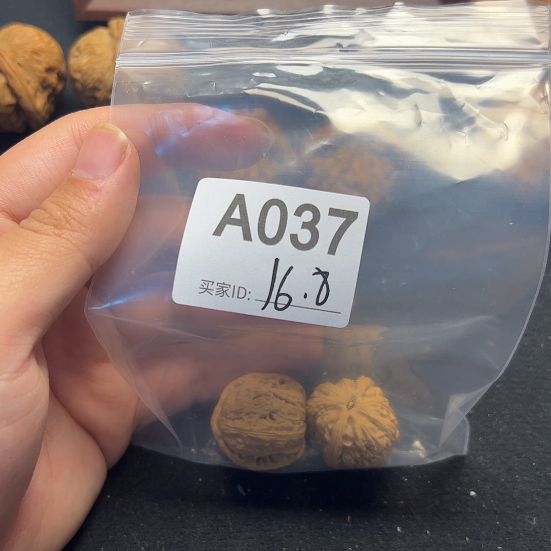 文玩核桃把件白狮子