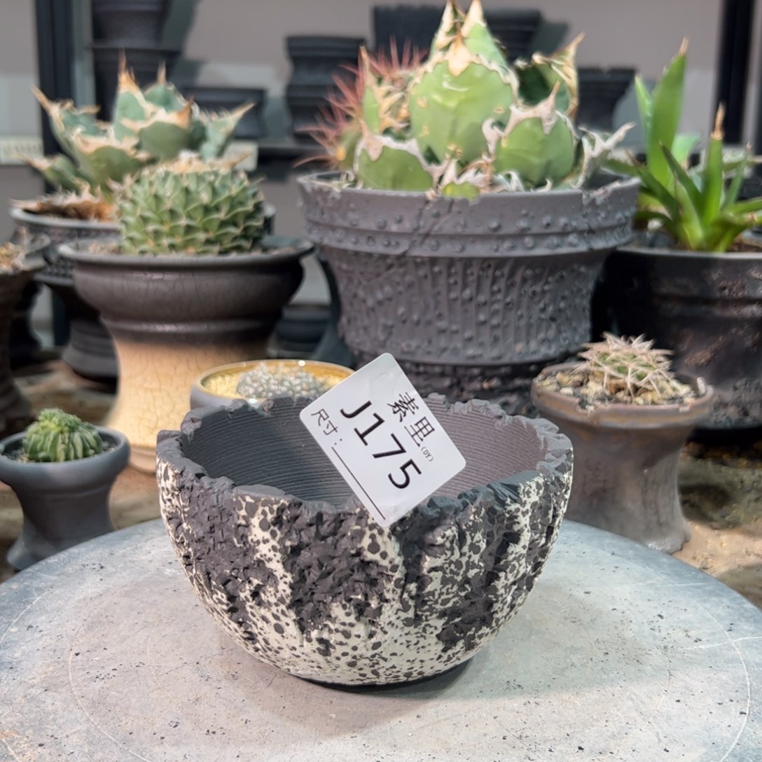 景德镇手工素里内口12高7.5