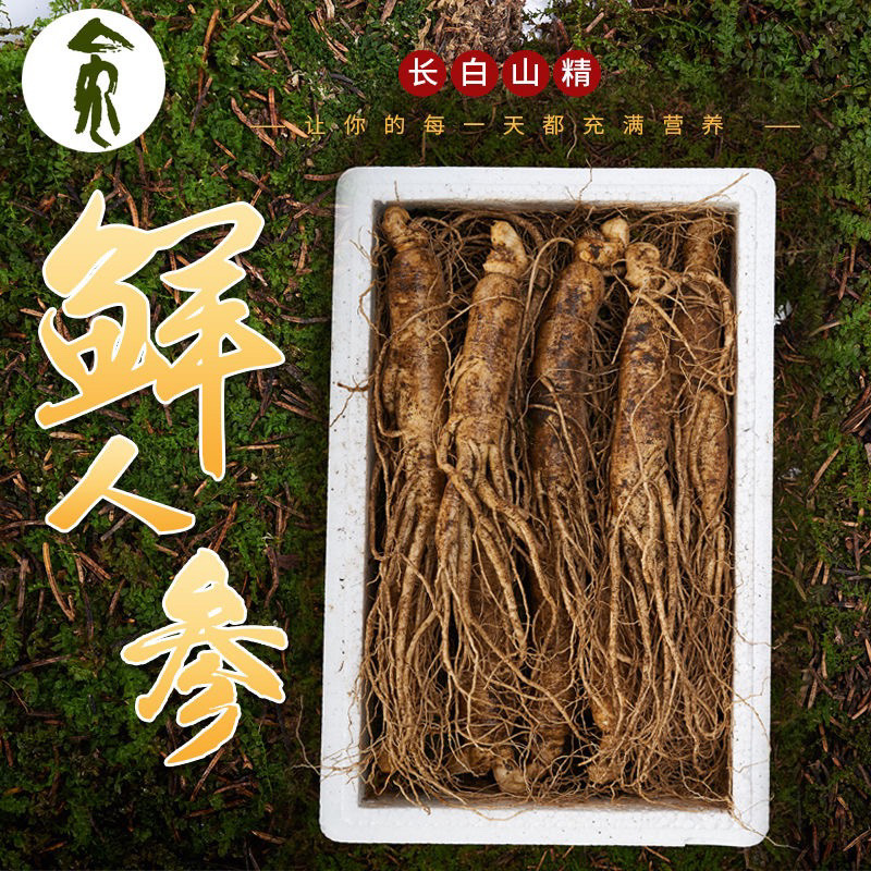 鲜人参长白山5年参产地直发 泡汤泡水泡酒今年新货