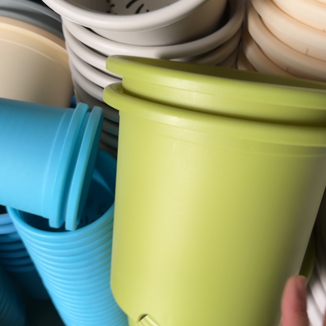 树脂四季6号无托7个果绿微瑕