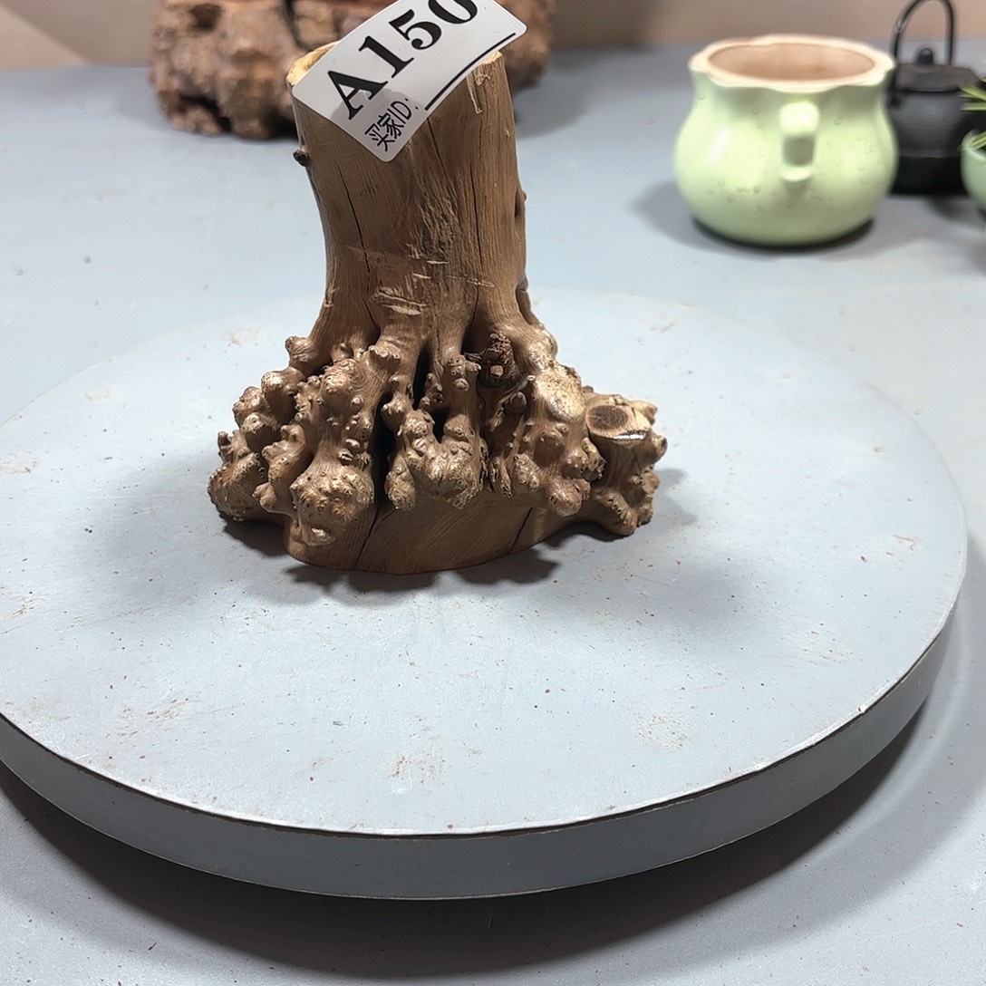 清***雨大果紫檀（缅甸花梨）