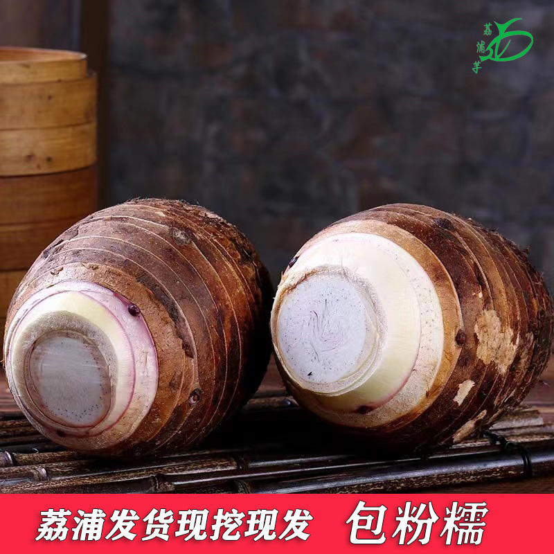 正宗广西荔浦芋头产地现挖现发香芋新鲜蔬菜火锅食材2/3/5/9斤