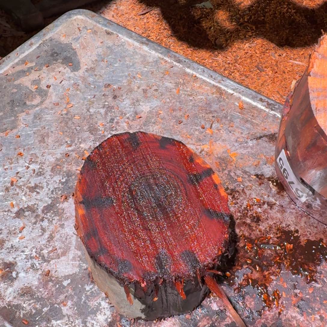 染料紫檀（血檀）6797