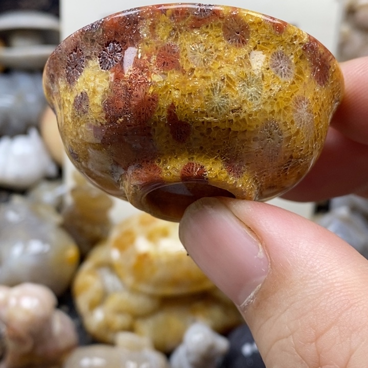 硅化珊瑚（珊瑚玉）未镶嵌颈饰有瑕