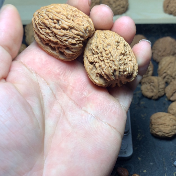 文玩核桃把件呼*南将石专卖店杨弟