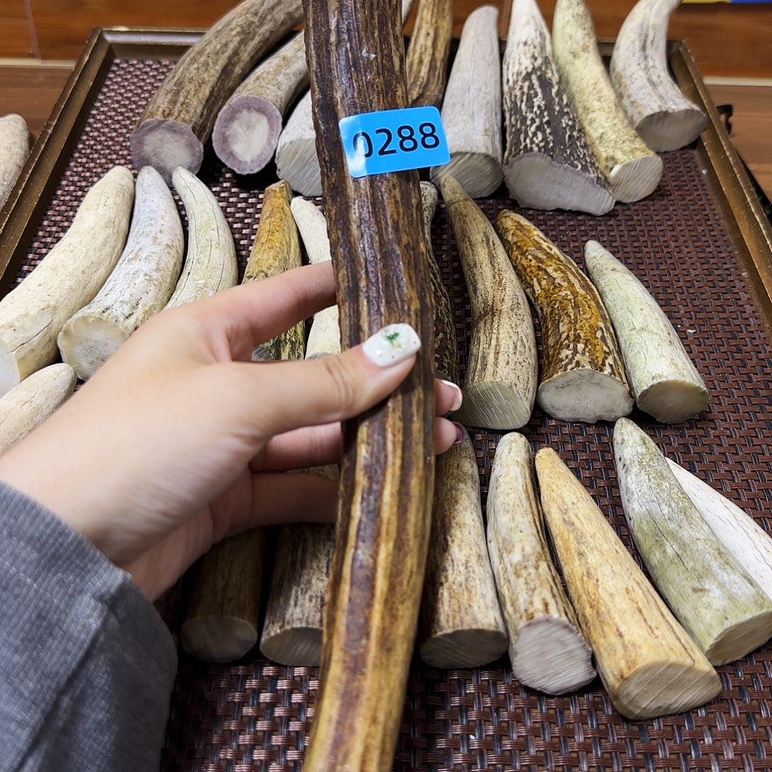 手串/手链鹿骨角尖0288