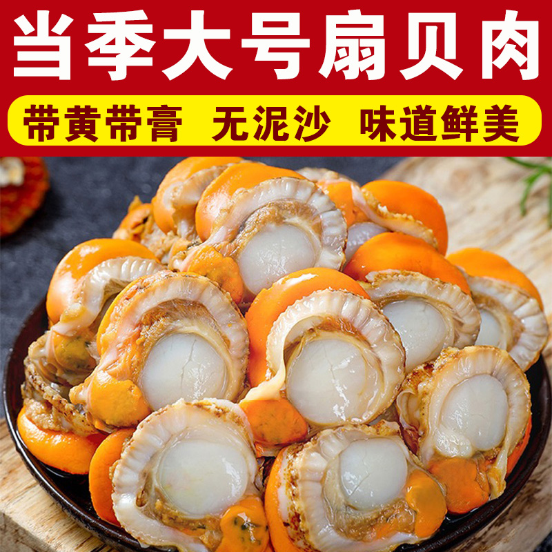 【到手5斤】新鲜大个带膏带黄扇贝肉无泥沙美味海鲜可蒜蓉粉丝爆炒
