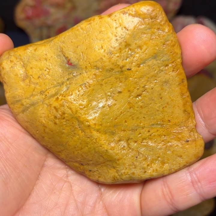 任***8昌化石国石昌化石