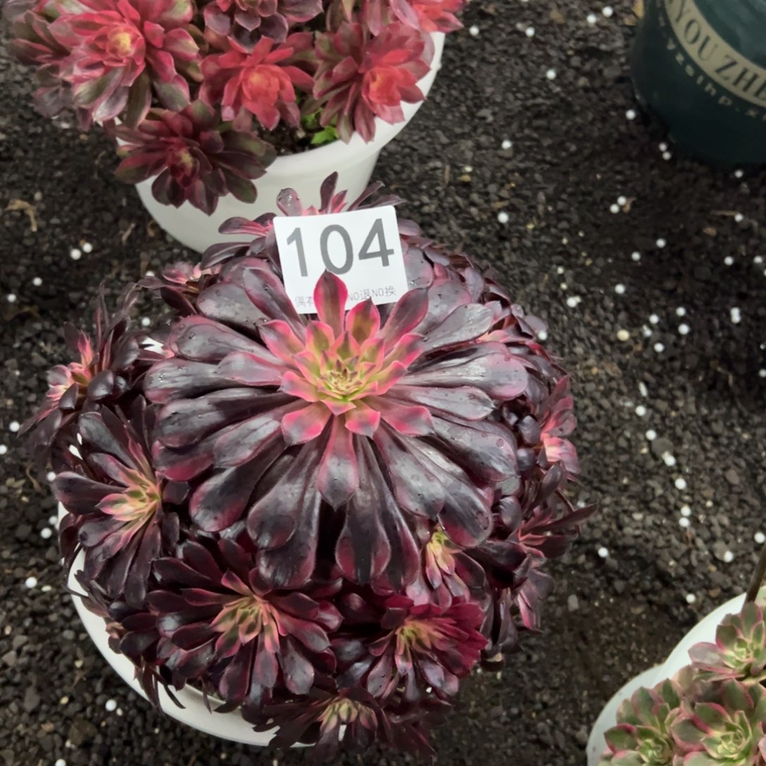 我是真的很喜欢这个