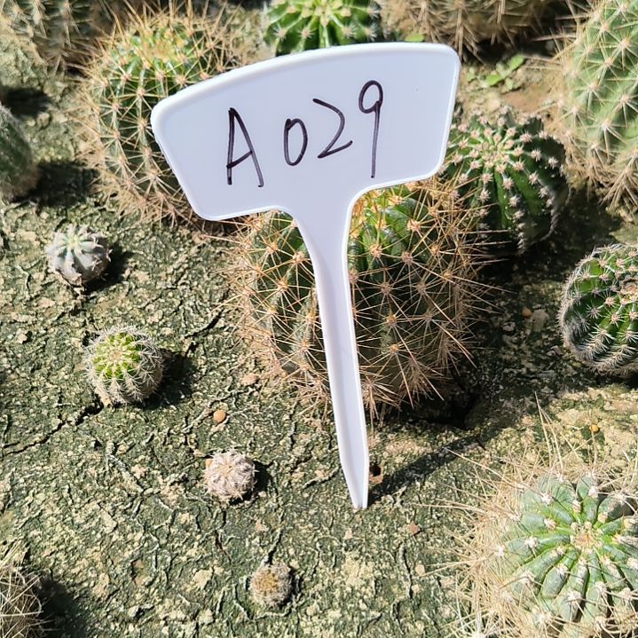 707瑕疵无售后的