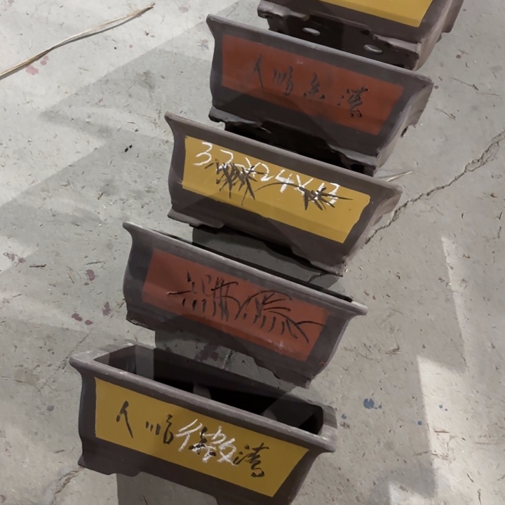 紫砂花盆100-5。    