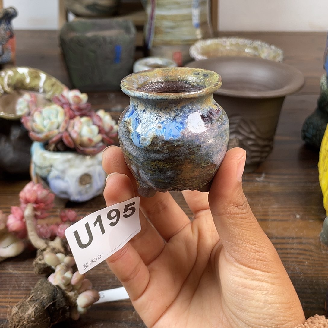 默认微次 跨年福利 坛子姐花盆