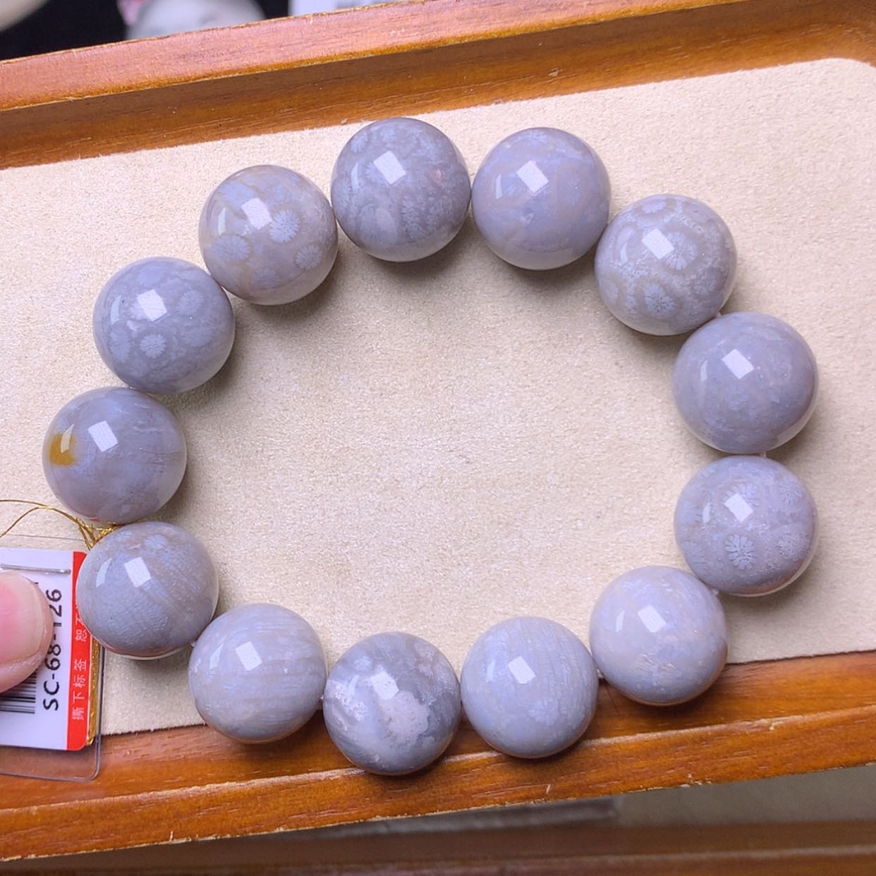 【闪购商品】硅化珊瑚（珊瑚玉）手镯未镶嵌