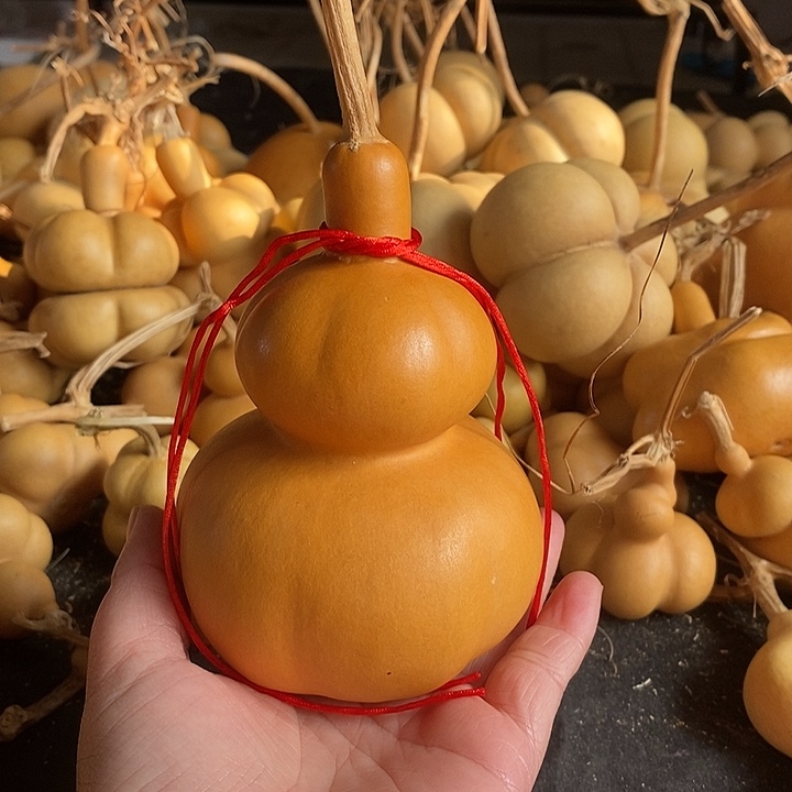 纯****?葫芦的颜色很好看