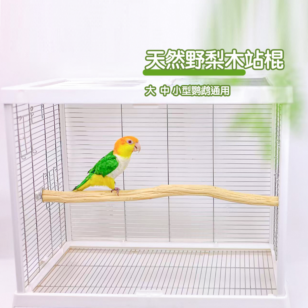 【定制款】洪屿鹦鹉站杆野梨木站杆宠物鸟实木站架天然原木站棍