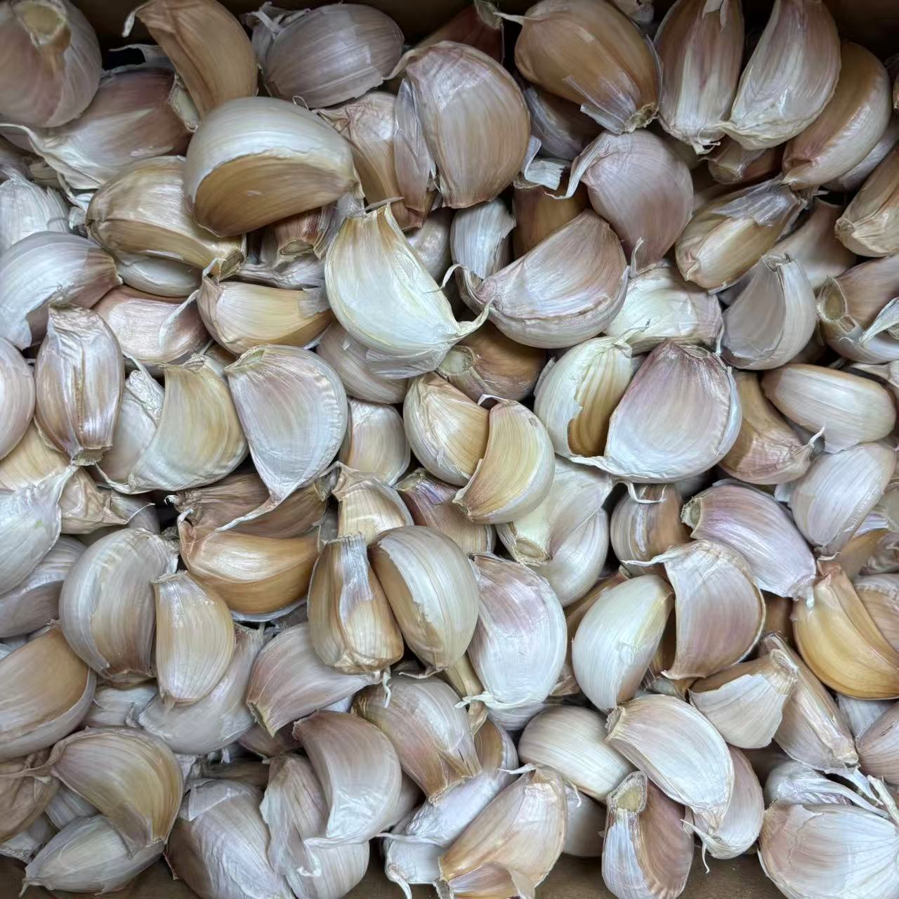 河南大蒜瓣25年新干蒜紫白皮蒜瓣手剥蒜瓣蒜香浓郁辛辣味足3斤5斤