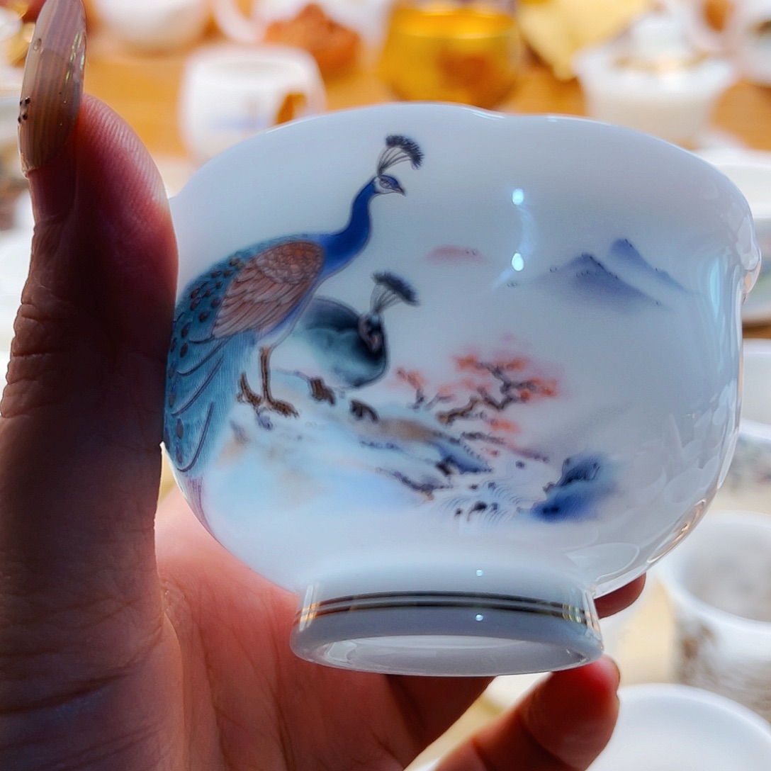 杯主人杯主人杯z人v做的菜