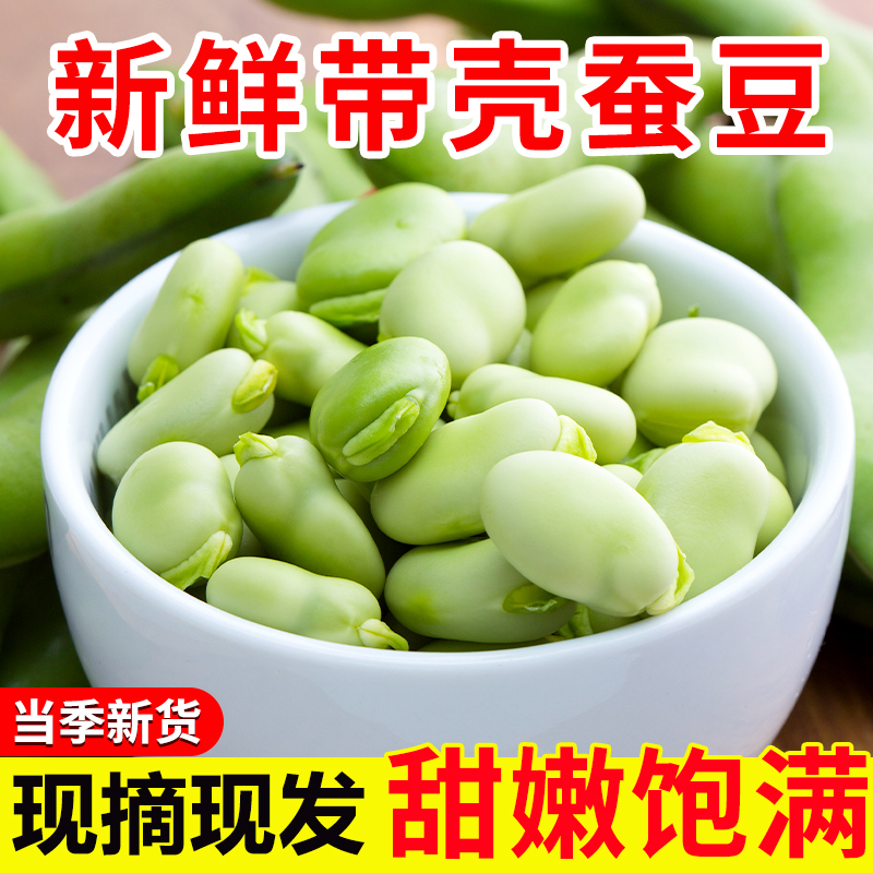云南新鲜蚕豆5斤农家带壳生本地罗汉兰花胡豆青豆荚蔬菜整箱包邮
