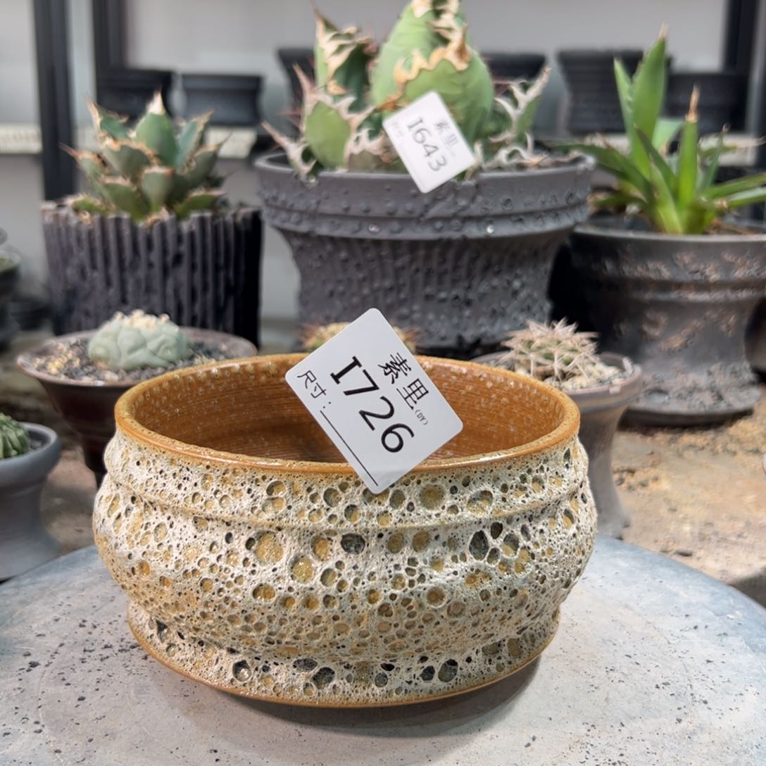 景德镇素里手工内口14高8