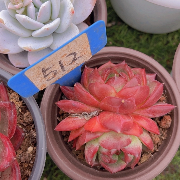 健健康康平平安安