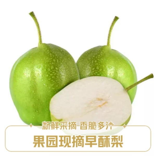 【甘肃特产】甘肃特产【六坝镇】六坝早酥梨当季水果整箱包邮