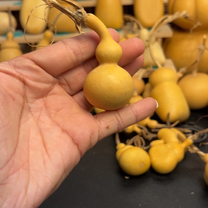 ⭐**前葫芦葫芦葫芦葫芦葫芦葫芦