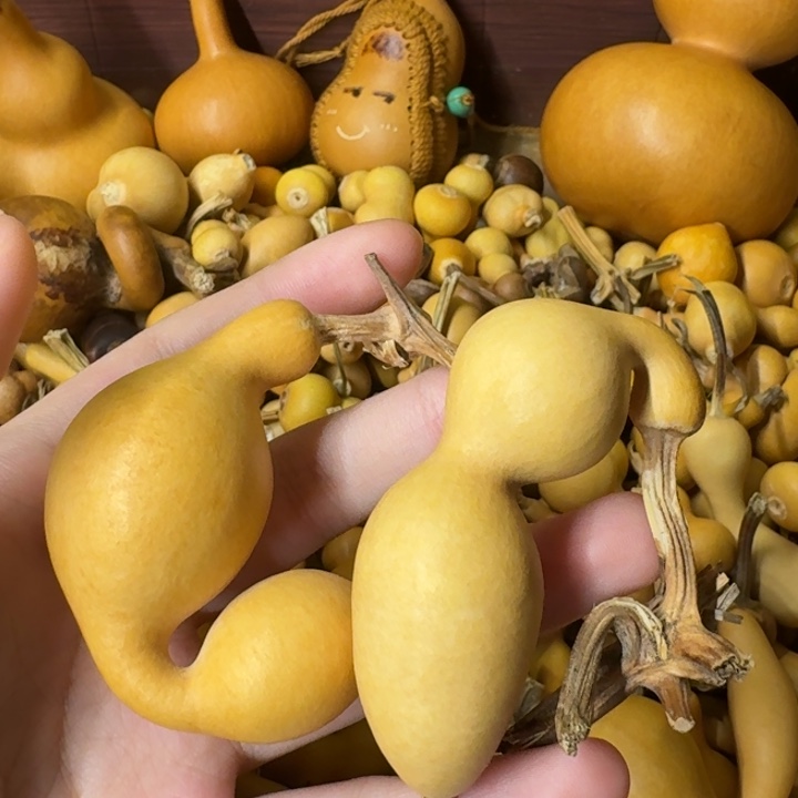 校***说葫芦葫芦葫芦葫芦