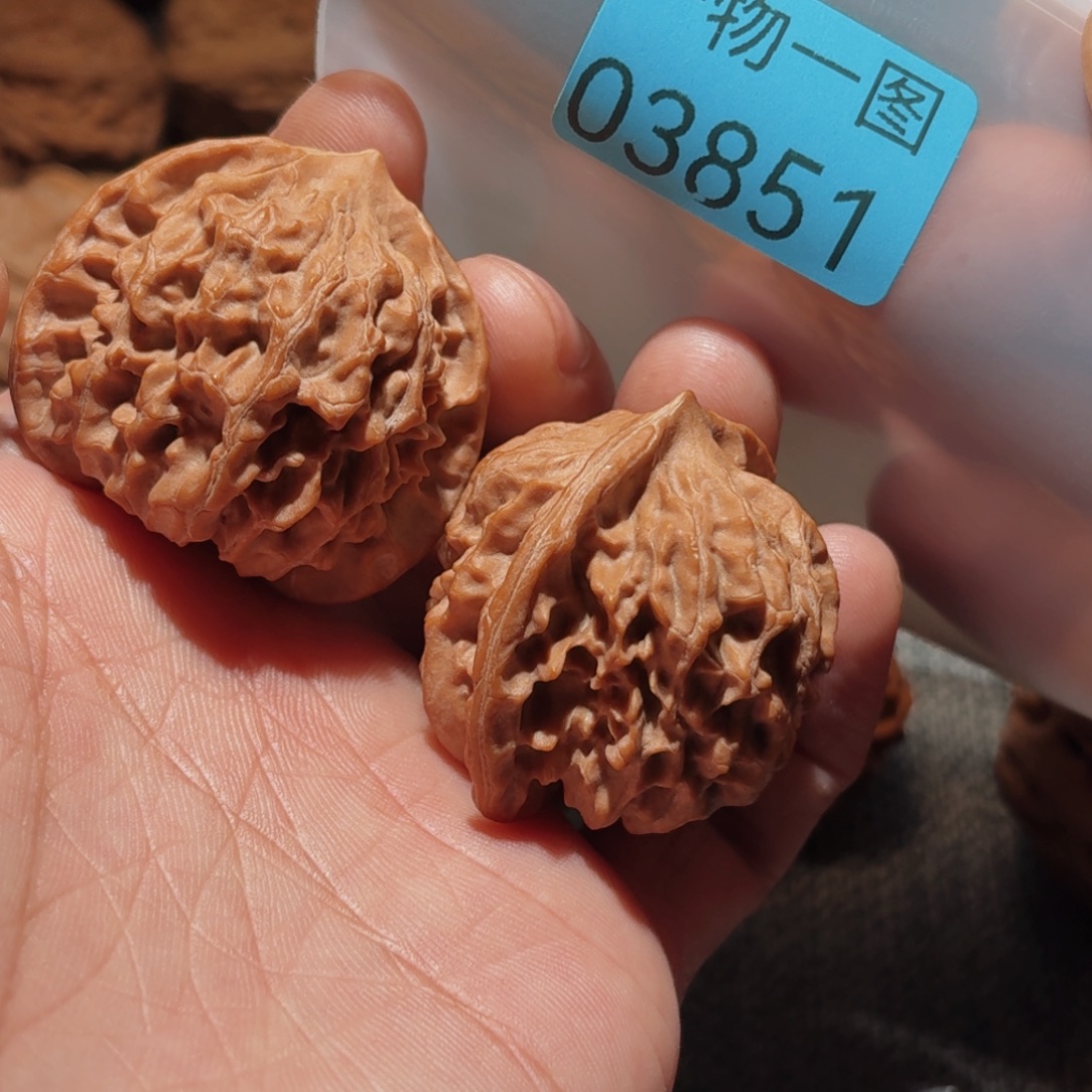 把件文玩核桃红珊瑚