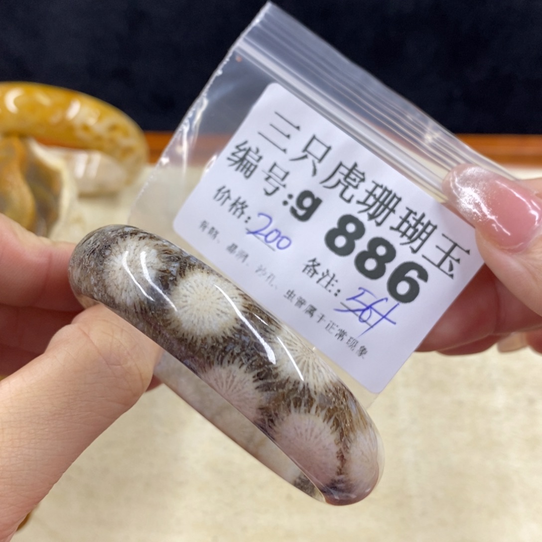 硅化珊瑚（珊瑚玉）未镶嵌1蔷*